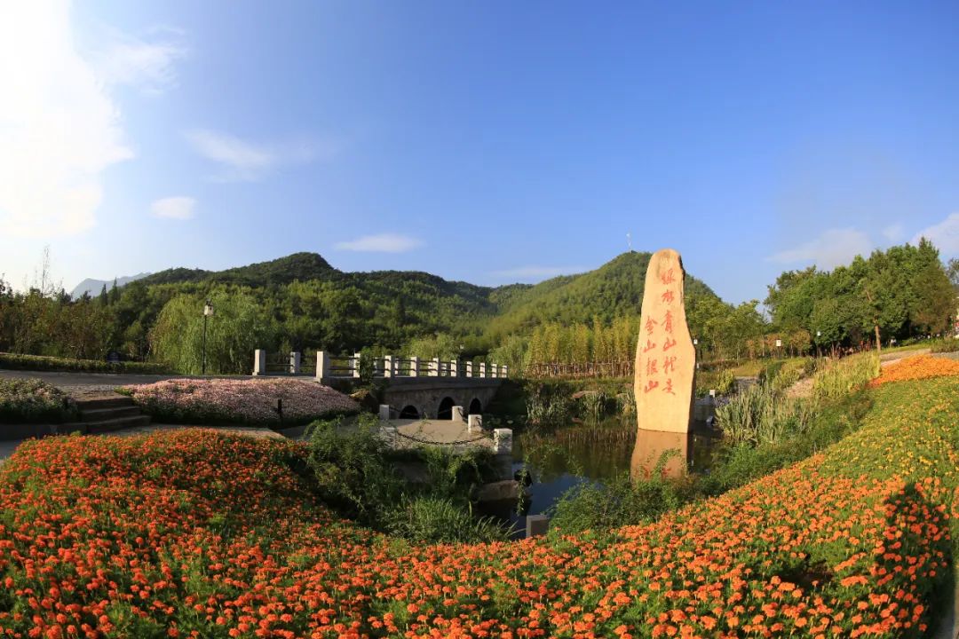 法宣護綠 |《浙江省生態(tài)環(huán)境保護條例》解讀——生態(tài)產(chǎn)品價值實現(xiàn)篇