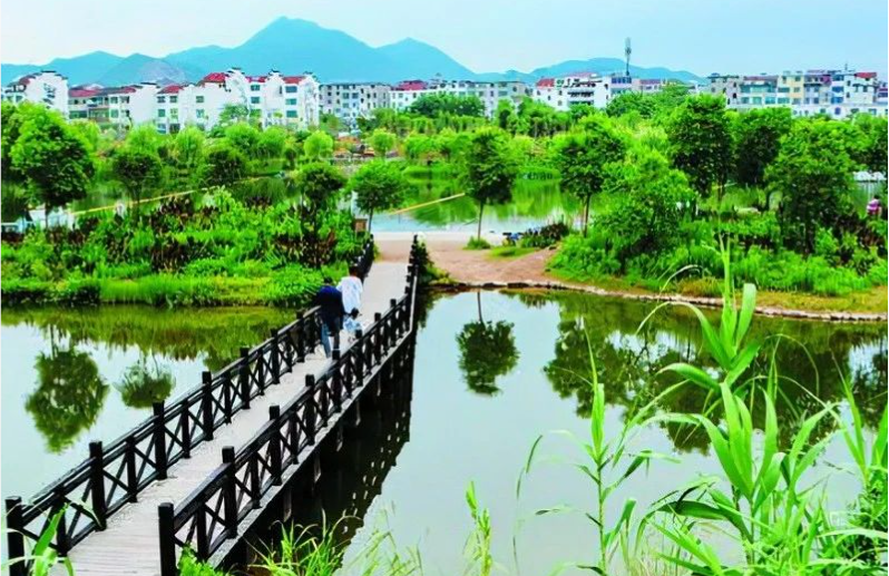 《中國環境報》頭版頭條：浙江構建降碳、減污、擴綠、增長整體智治體系