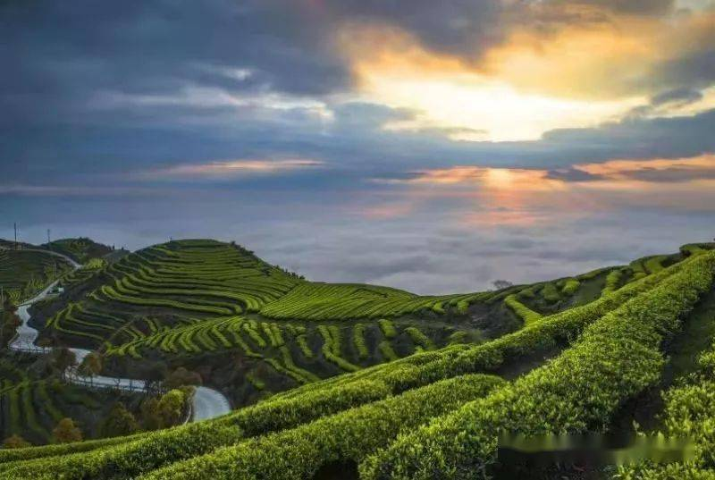 農(nóng)業(yè)農(nóng)村部：到2025年建設1000家國家級生態(tài)農(nóng)場