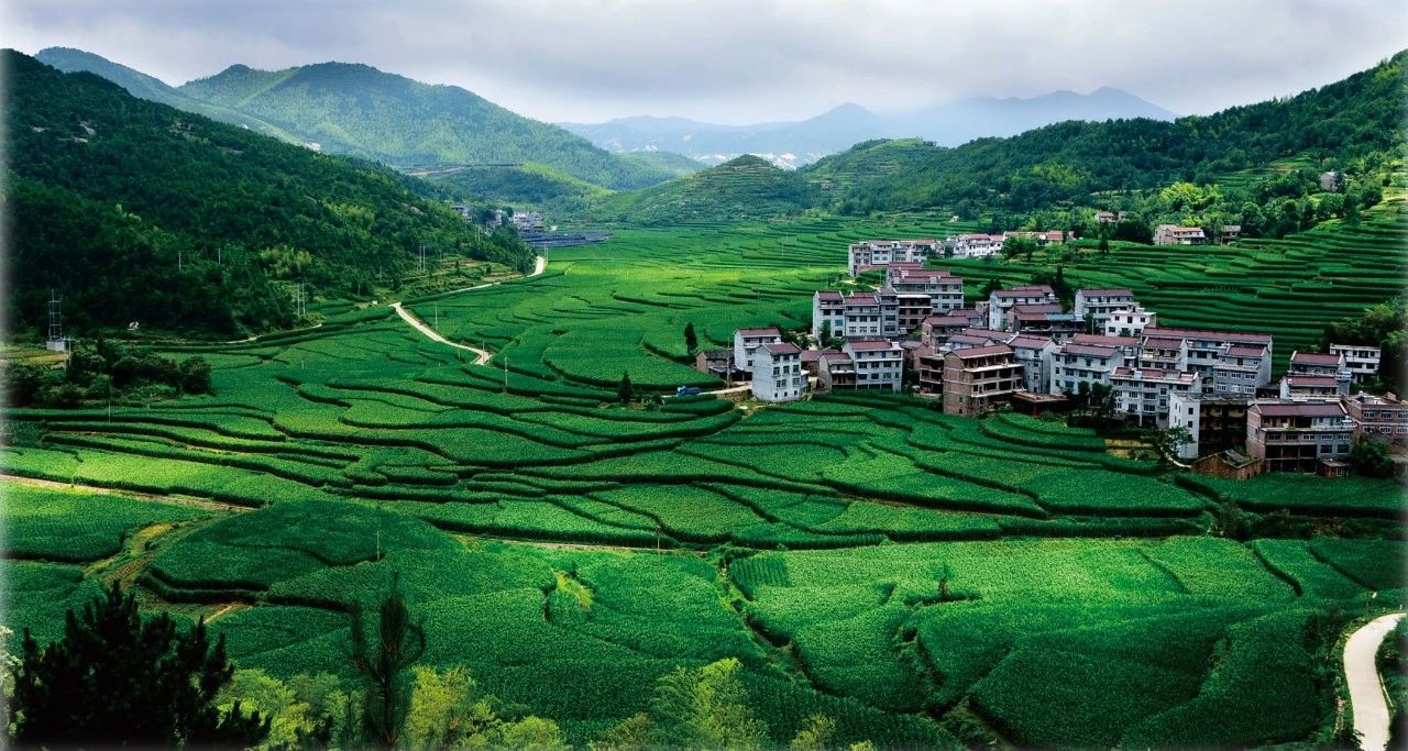 中央財(cái)辦等關(guān)于有力有序有效推廣浙江“千萬(wàn)工程”經(jīng)驗(yàn)的指導(dǎo)意見