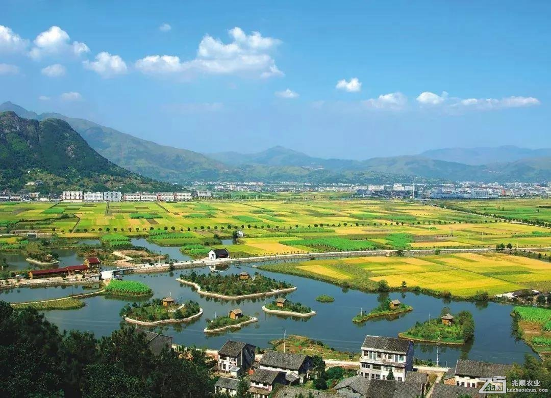 含污水處理項目、農(nóng)業(yè)林業(yè)領域，優(yōu)先選擇民營企業(yè)參與，《關(guān)于規(guī)范實施政府和社會資本合作新機制的指導意見》發(fā)布