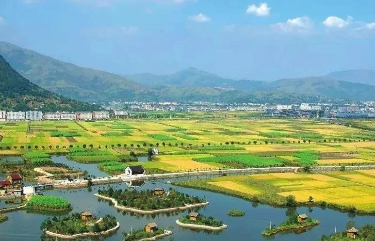 鄉(xiāng)村振興工作滯后，約談！江西省委、省政府發(fā)布《江西省鄉(xiāng)村振興責任制實施細則》