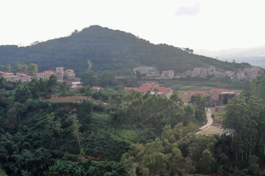 福建廈門：鼓勵打造綠色生態宜居的美麗鄉村